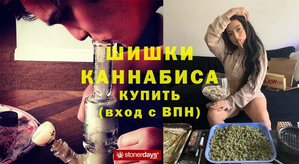 2c-b Краснослободск