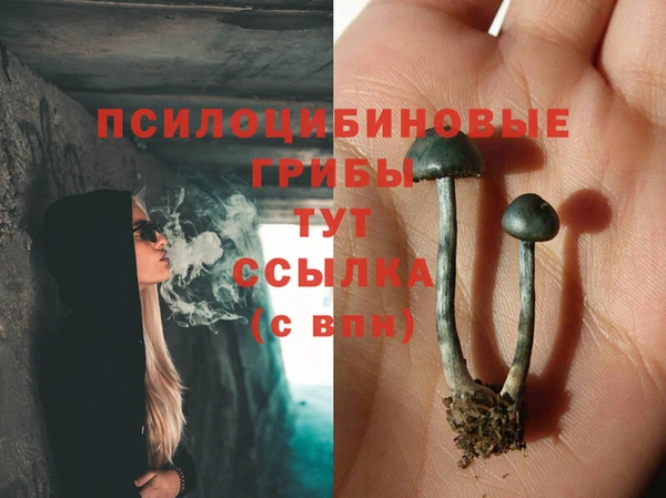 2c-b Краснослободск