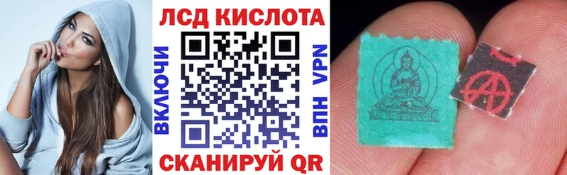 Купить закладки  Томилино  Наркотические марки 1500мкг 
