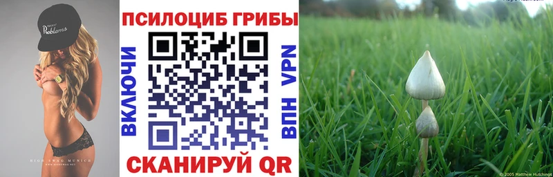Купить  Томилино  Псилоцибиновые грибы Magic Shrooms 